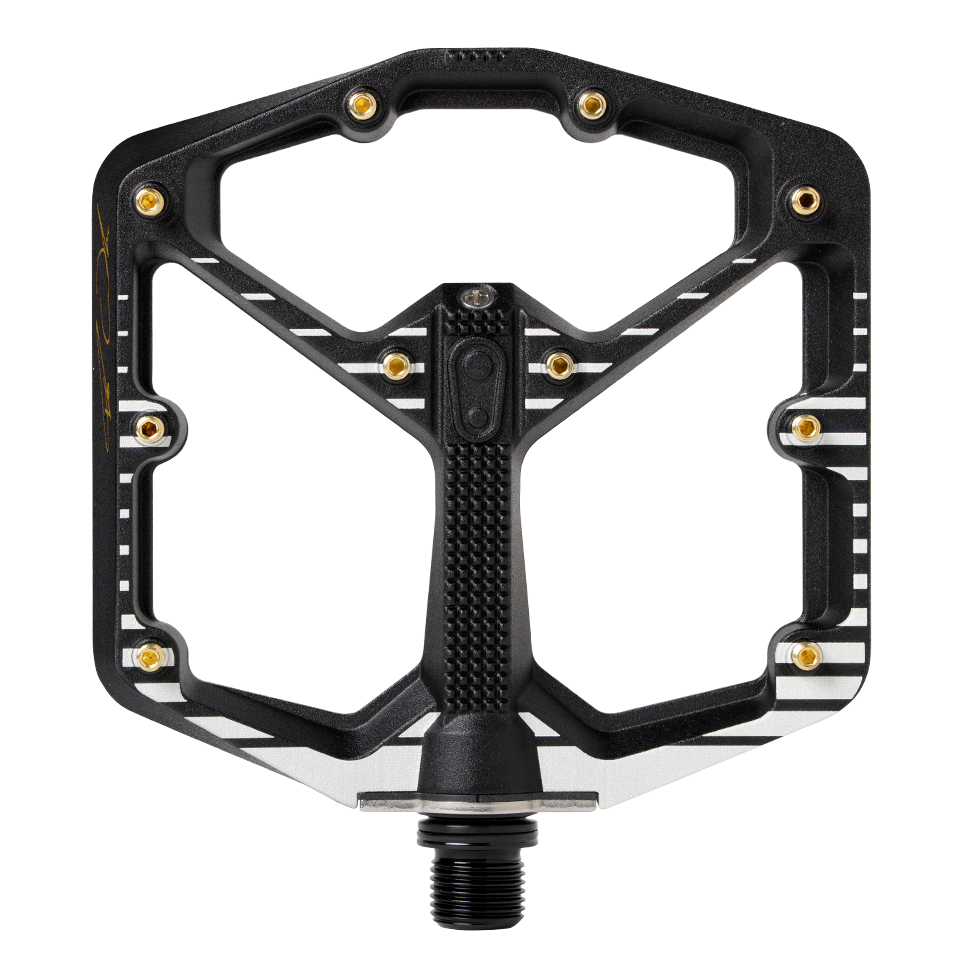 Fabio Wibmer Signature Edition