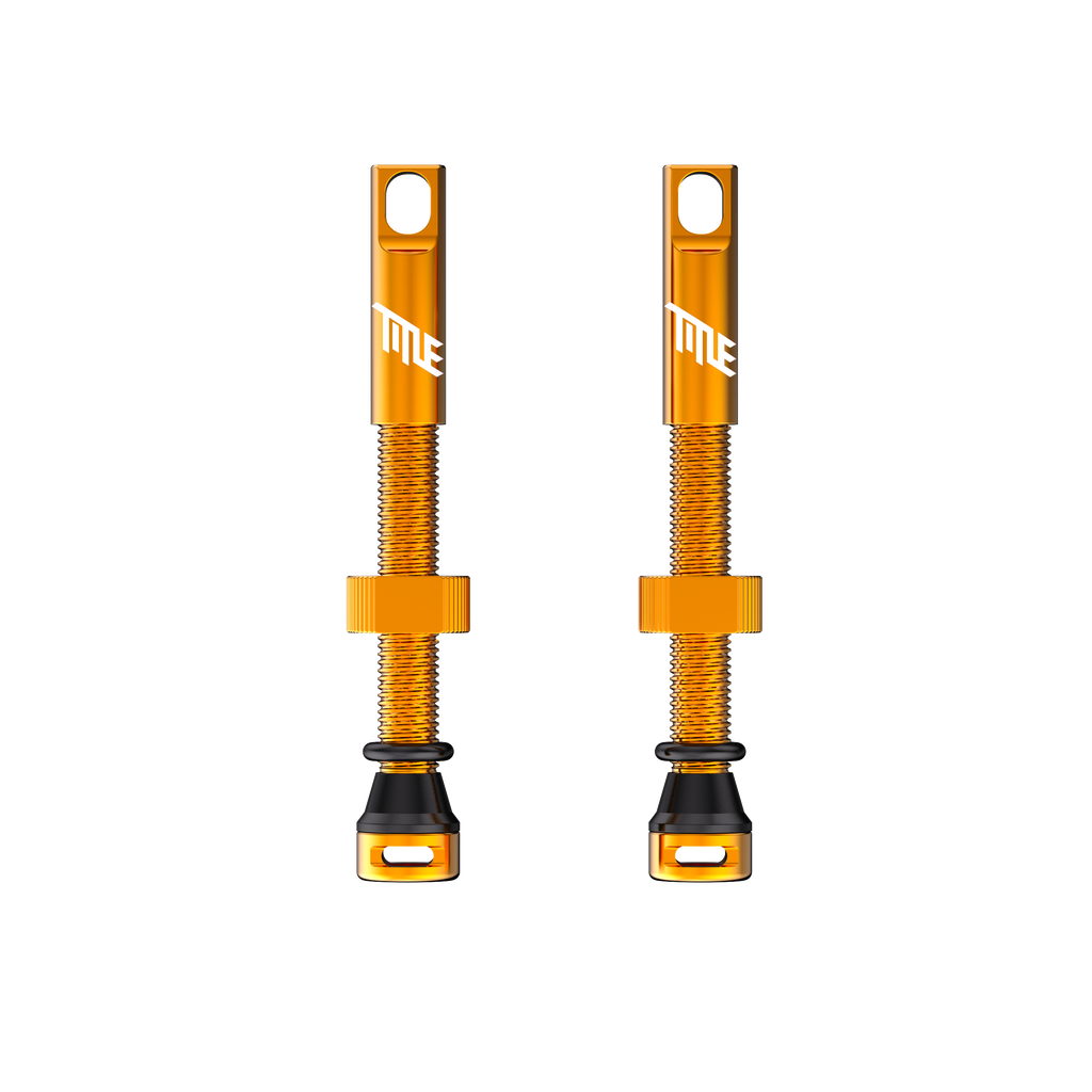 TITLE TUBELESS VALVES