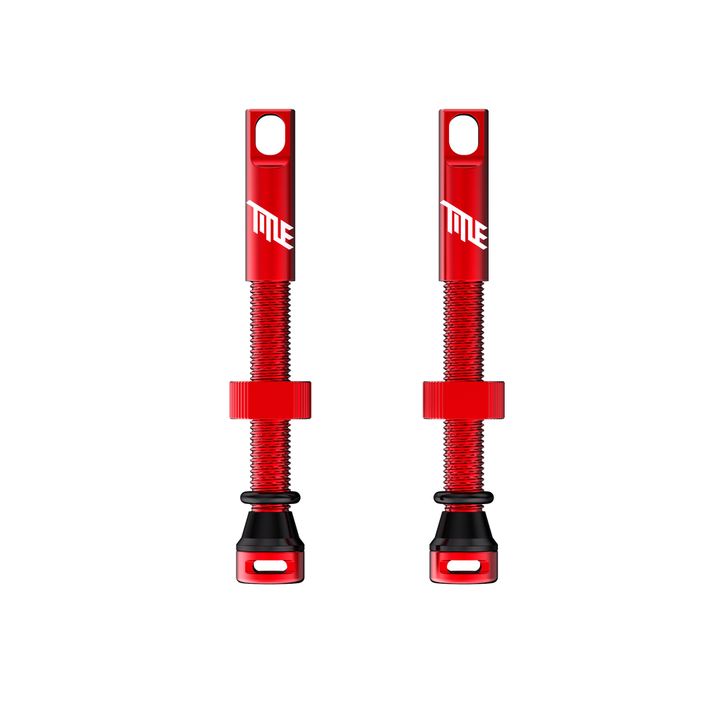 TITLE TUBELESS VALVES