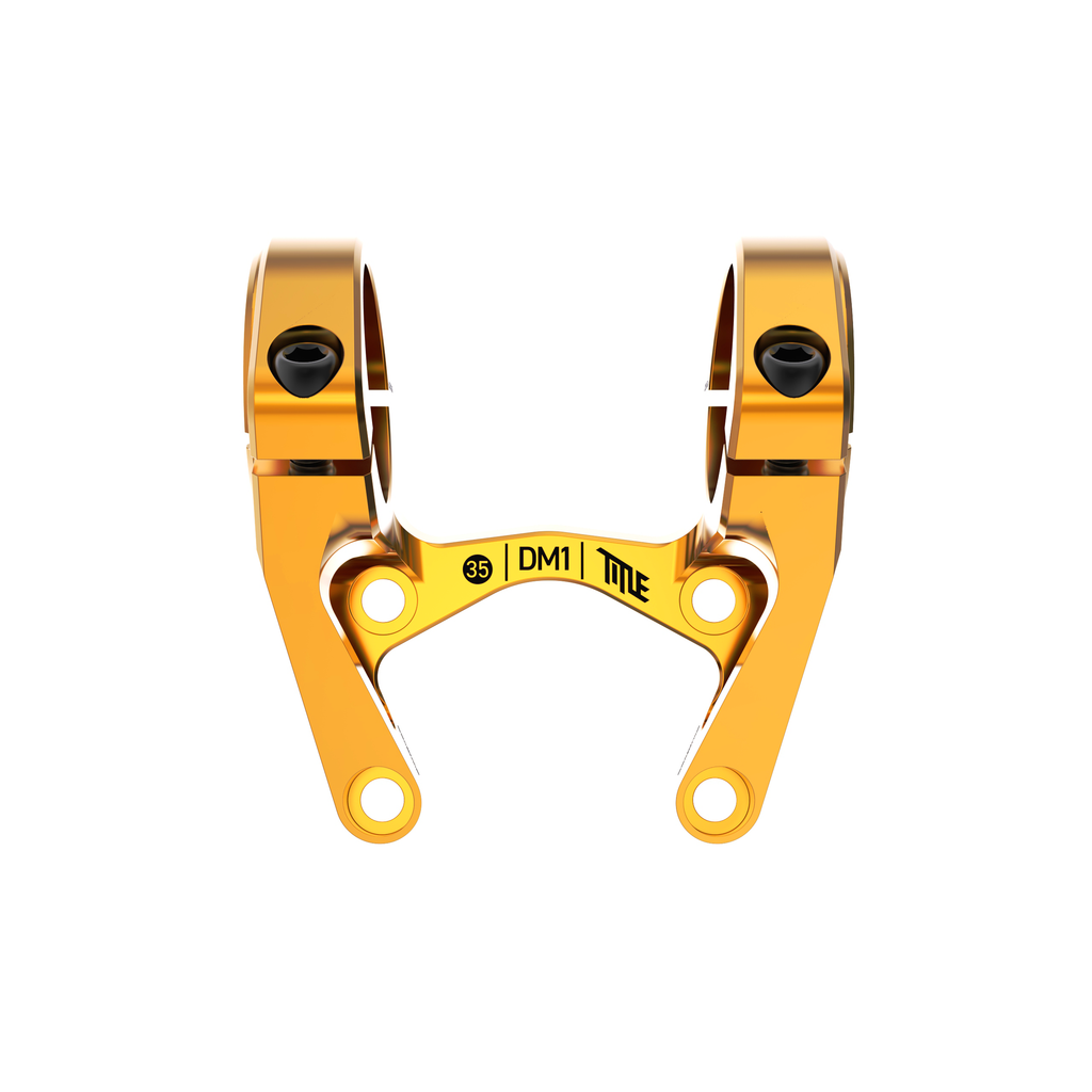 TITLE DM1 STEM